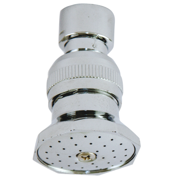 Shower Rose Cachet Plumbing Plumbing Finishes Shower Roses